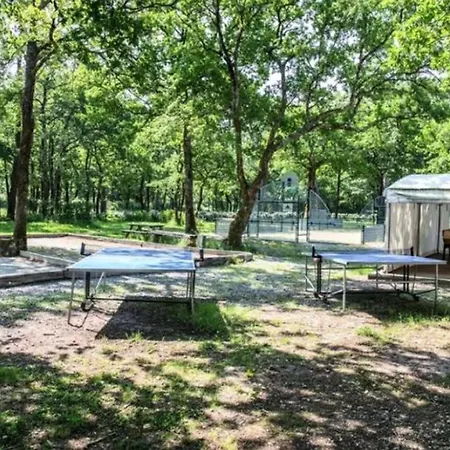 Campingplads Mobil-home Confortable Avec Terrasse A - Api-1-52-286